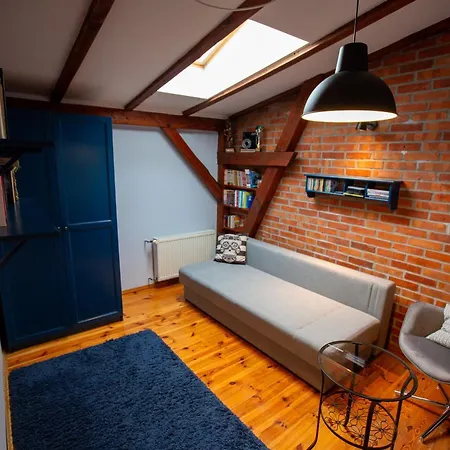 Kamienica Na Starym Rynku - 140 M2 I Garaz * 帕克