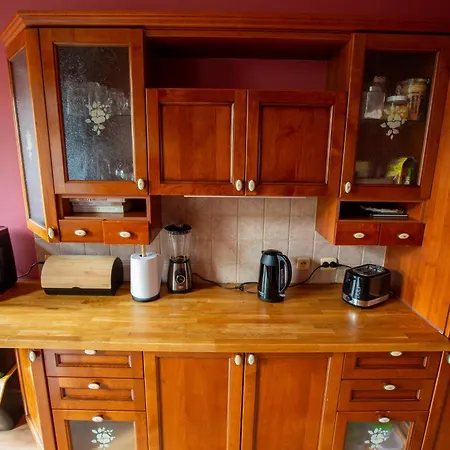 Kamienica Na Starym Rynku - 140 M2 I Garaz Vakantiehuis *